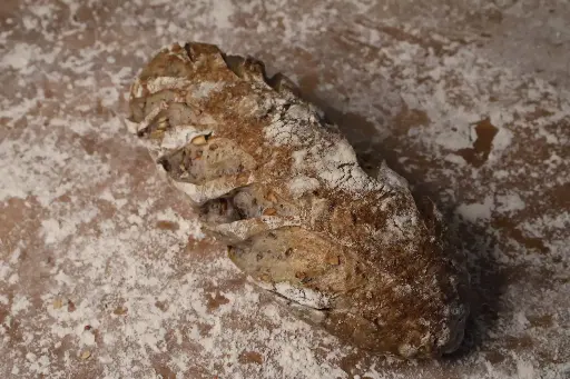 [PLBBOUF1000-0019] Pacanes érable